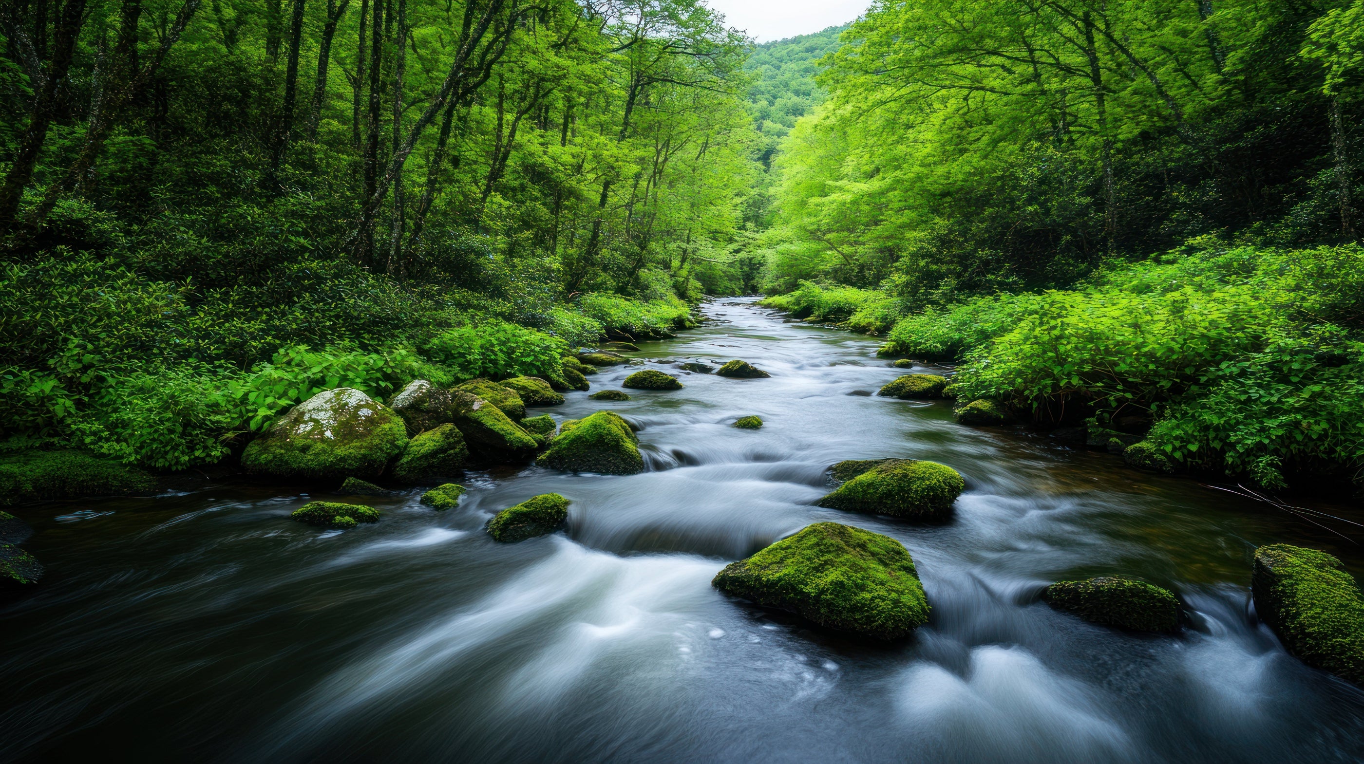 Discovering the Essentials of Soap Bar Ingredients